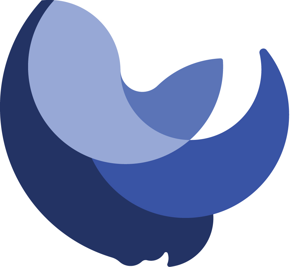 bluehorn logo